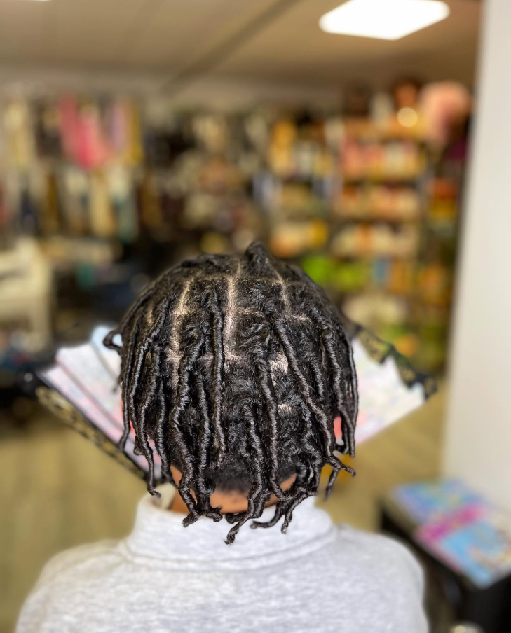 Neatly retwisted starter locs viewed from behind